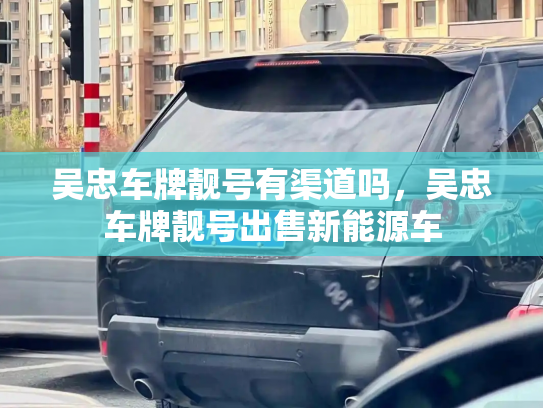 吴忠车牌靓号有渠道吗,吴忠车牌靓号出售新能源车-第3张图片-七号汽车选号 吴忠车牌靓号有渠道吗,吴忠车牌靓号出售新能源车-第3张图片-七号汽车选号