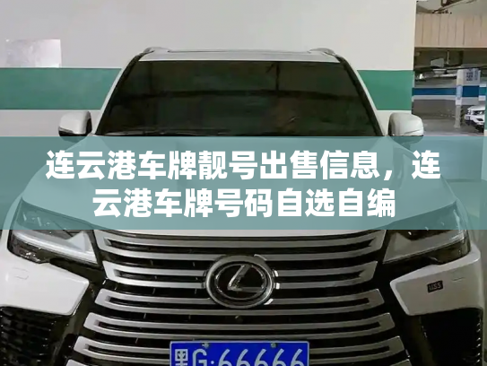 连云港车牌靓号出售信息，连云港车牌号码自选自编-第2张图片-七号汽车选号