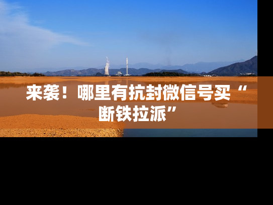来袭！哪里有抗封微信号买“断铁拉派”-第1张图片-七号汽车选号