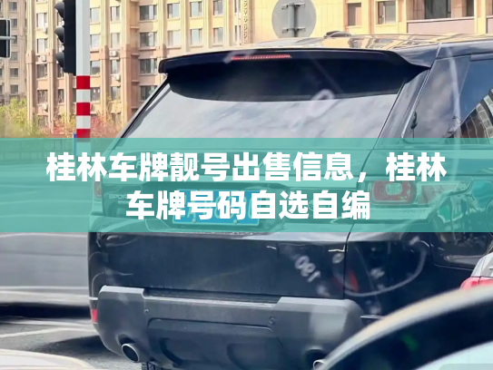 桂林车牌靓号出售信息，桂林车牌号码自选自编-第3张图片-七号汽车选号