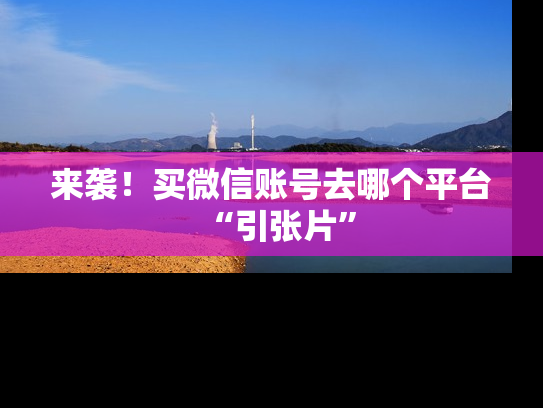 来袭！买微信账号去哪个平台“引张片”-第1张图片-七号汽车选号