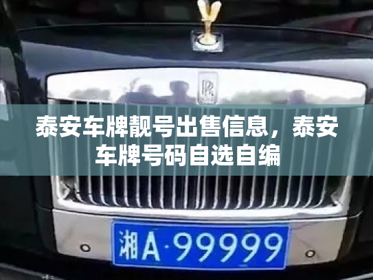 泰安车牌靓号出售信息，泰安车牌号码自选自编-第2张图片-七号汽车选号