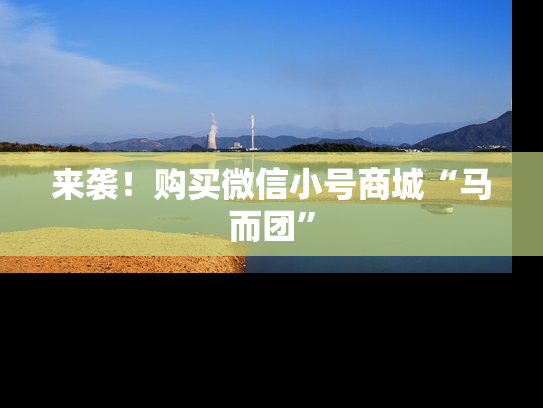 来袭！购买微信小号商城“马而团”-第1张图片-七号汽车选号