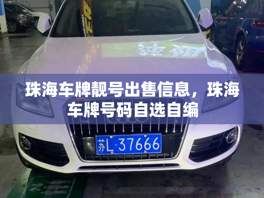 珠海车牌靓号出售信息,珠海车牌号码自选自编-第2张图片-七号汽车选号 珠海车牌靓号出售信息,珠海车牌号码自选自编-第2张图片-七号汽车选号