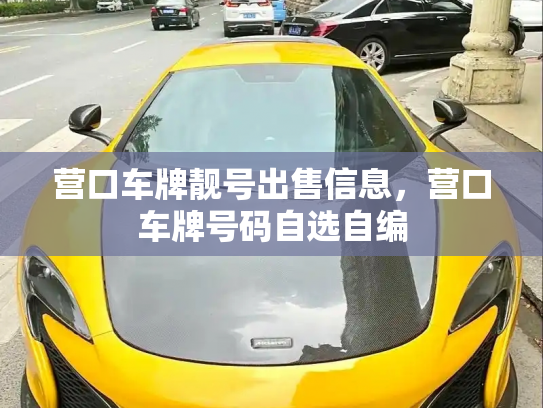 营口车牌靓号出售信息，营口车牌号码自选自编-第2张图片-七号汽车选号