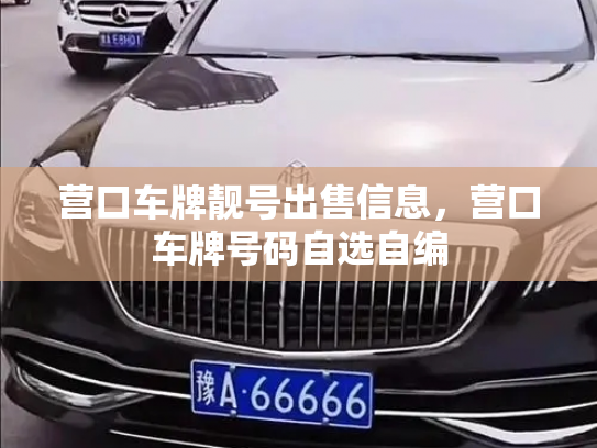 营口车牌靓号出售信息，营口车牌号码自选自编-第3张图片-七号汽车选号