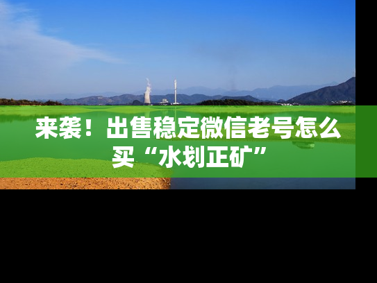来袭！出售稳定微信老号怎么买“水划正矿”-第1张图片-七号汽车选号