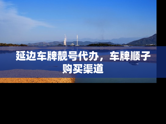延边车牌靓号代办，车牌顺子购买渠道