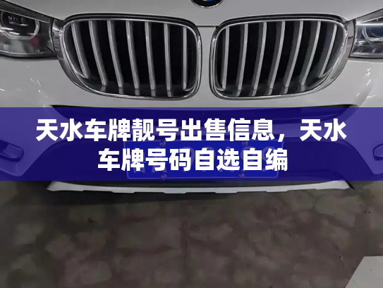 天水车牌靓号出售信息，天水车牌号码自选自编-第3张图片-七号汽车选号