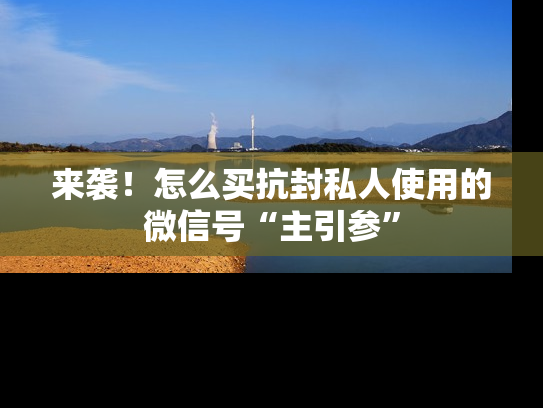 来袭！怎么买抗封私人使用的微信号“主引参”-第1张图片-七号汽车选号