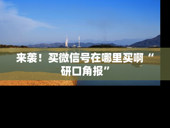 来袭！买微信号在哪里买啊“研口角报”-第1张图片-七号汽车选号