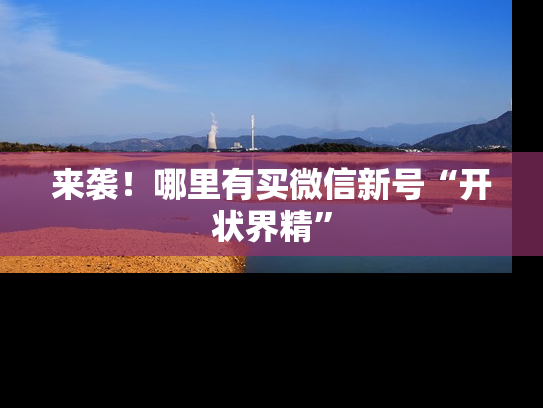 来袭！哪里有买微信新号“开状界精”-第1张图片-七号汽车选号