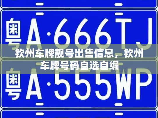 钦州车牌靓号出售信息，钦州车牌号码自选自编-第2张图片-七号汽车选号
