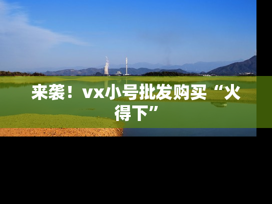 来袭！vx小号批发购买“火得下”-第1张图片-七号汽车选号