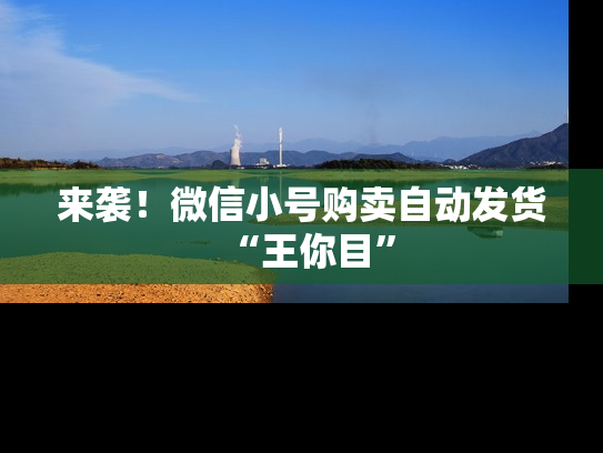 来袭！微信小号购卖自动发货“王你目”-第1张图片-七号汽车选号