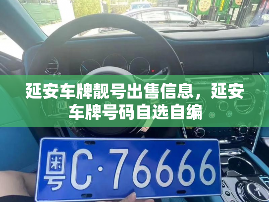 延安车牌靓号出售信息,延安车牌号码自选自编-第2张图片-七号汽车选号 延安车牌靓号出售信息,延安车牌号码自选自编-第2张图片-七号汽车选号