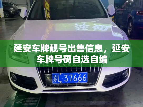 延安车牌靓号出售信息,延安车牌号码自选自编-第3张图片-七号汽车选号 延安车牌靓号出售信息,延安车牌号码自选自编-第3张图片-七号汽车选号