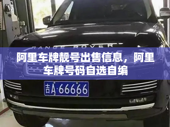 阿里车牌靓号出售信息,阿里车牌号码自选自编-第3张图片-七号汽车选号 阿里车牌靓号出售信息,阿里车牌号码自选自编-第3张图片-七号汽车选号