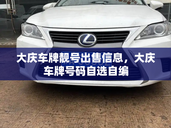 大庆车牌靓号出售信息,大庆车牌号码自选自编-第2张图片-七号汽车选号 大庆车牌靓号出售信息,大庆车牌号码自选自编-第2张图片-七号汽车选号