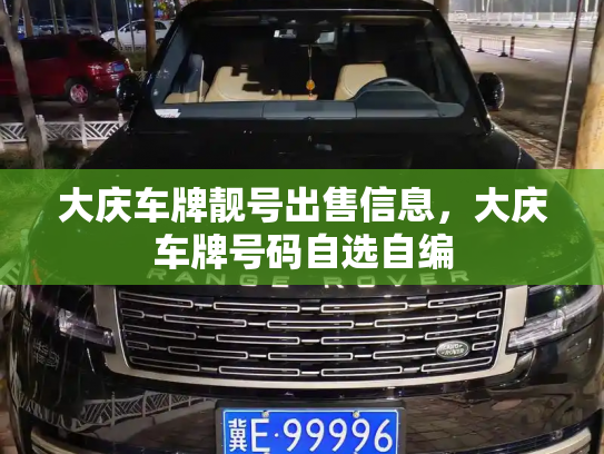 大庆车牌靓号出售信息,大庆车牌号码自选自编-第3张图片-七号汽车选号 大庆车牌靓号出售信息,大庆车牌号码自选自编-第3张图片-七号汽车选号