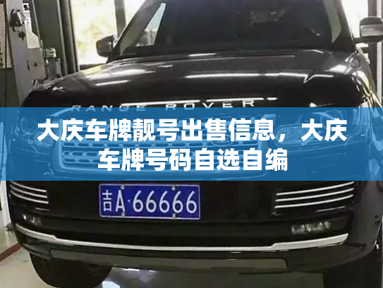 大庆车牌靓号出售信息，大庆车牌号码自选自编