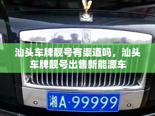 汕头车牌靓号有渠道吗，汕头车牌靓号出售新能源车-第3张图片-七号汽车选号