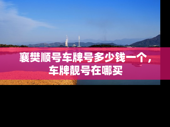 襄樊顺号车牌号多少钱一个，车牌靓号在哪买