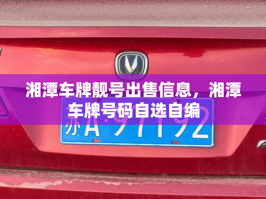 湘潭车牌靓号出售信息,湘潭车牌号码自选自编-第2张图片-七号汽车选号 湘潭车牌靓号出售信息,湘潭车牌号码自选自编-第2张图片-七号汽车选号