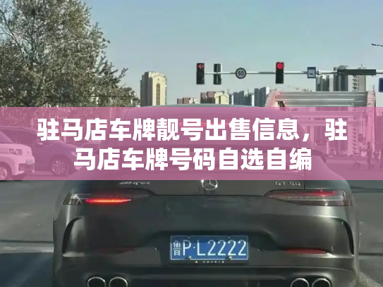 驻马店车牌靓号出售信息,驻马店车牌号码自选自编-第3张图片-七号汽车选号 驻马店车牌靓号出售信息,驻马店车牌号码自选自编-第3张图片-七号汽车选号