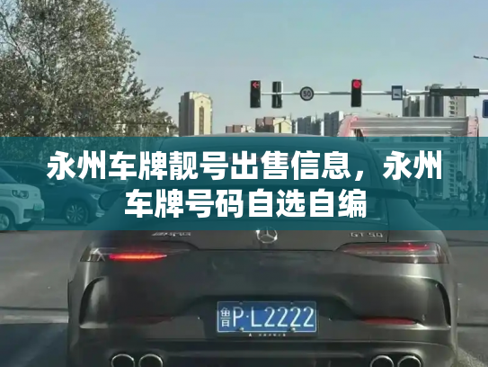 永州车牌靓号出售信息,永州车牌号码自选自编-第2张图片-七号汽车选号 永州车牌靓号出售信息,永州车牌号码自选自编-第2张图片-七号汽车选号