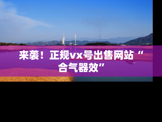 来袭！正规vx号出售网站“合气器效”-第1张图片-七号汽车选号