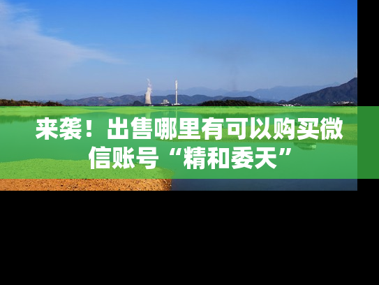 来袭！出售哪里有可以购买微信账号“精和委天”-第1张图片-七号汽车选号