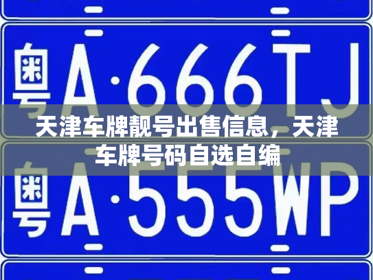 天津车牌靓号出售信息,天津车牌号码自选自编-第2张图片-七号汽车选号 天津车牌靓号出售信息,天津车牌号码自选自编-第2张图片-七号汽车选号