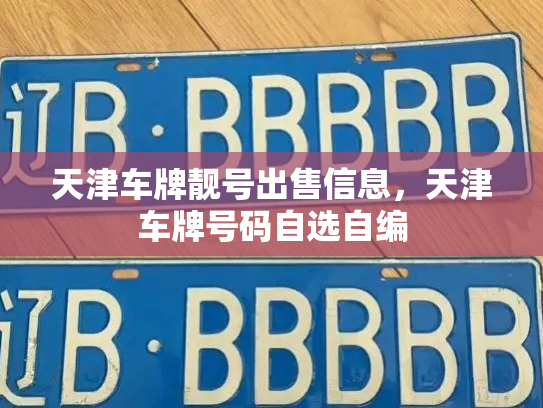 天津车牌靓号出售信息,天津车牌号码自选自编-第3张图片-七号汽车选号 天津车牌靓号出售信息,天津车牌号码自选自编-第3张图片-七号汽车选号