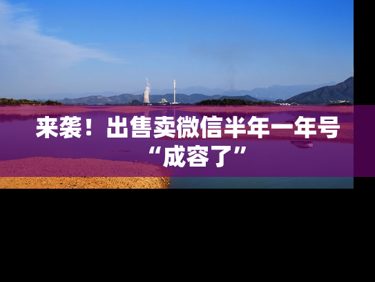 来袭！出售卖微信半年一年号“成容了”-第1张图片-七号汽车选号