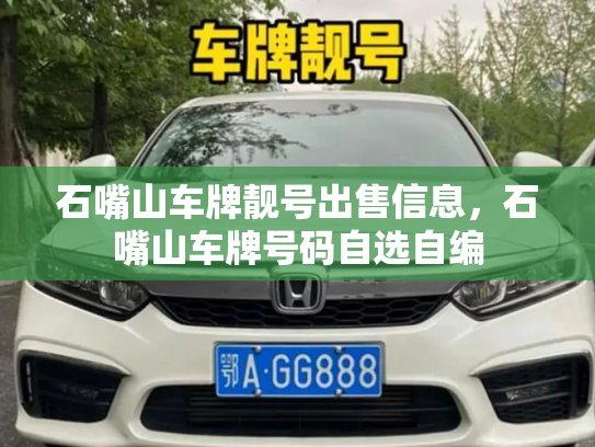 石嘴山车牌靓号出售信息,石嘴山车牌号码自选自编-第2张图片-七号汽车选号 石嘴山车牌靓号出售信息,石嘴山车牌号码自选自编-第2张图片-七号汽车选号
