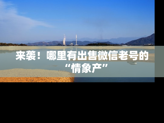 来袭！哪里有出售微信老号的“情象产”-第1张图片-七号汽车选号