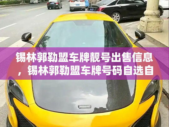 锡林郭勒盟车牌靓号出售信息,锡林郭勒盟车牌号码自选自编-第2张图片-七号汽车选号 锡林郭勒盟车牌靓号出售信息,锡林郭勒盟车牌号码自选自编-第2张图片-七号汽车选号