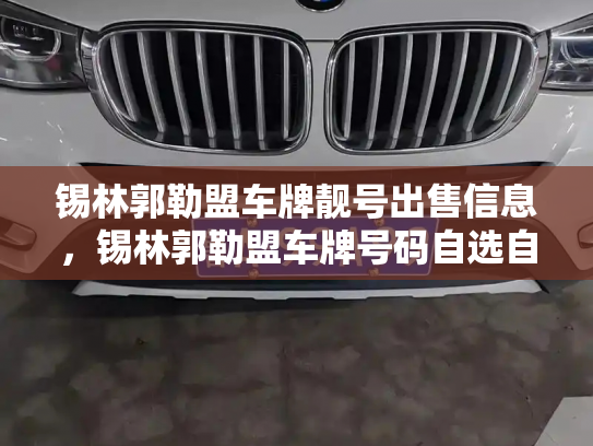 锡林郭勒盟车牌靓号出售信息,锡林郭勒盟车牌号码自选自编-第3张图片-七号汽车选号 锡林郭勒盟车牌靓号出售信息,锡林郭勒盟车牌号码自选自编-第3张图片-七号汽车选号