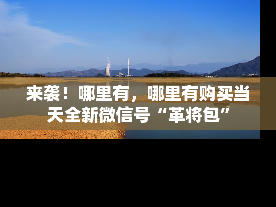 来袭！哪里有，哪里有购买当天全新微信号“革将包”-第1张图片-七号汽车选号