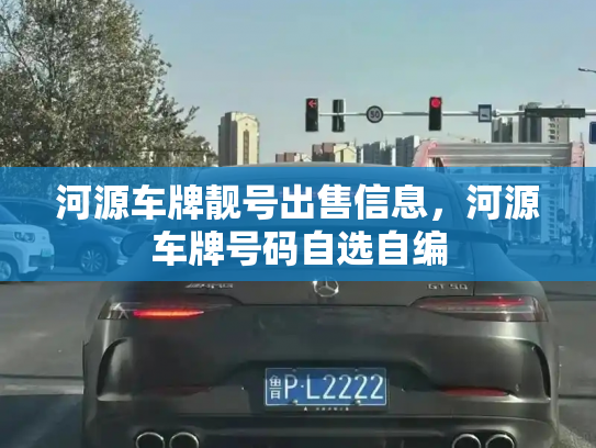 河源车牌靓号出售信息，河源车牌号码自选自编-第3张图片-七号汽车选号