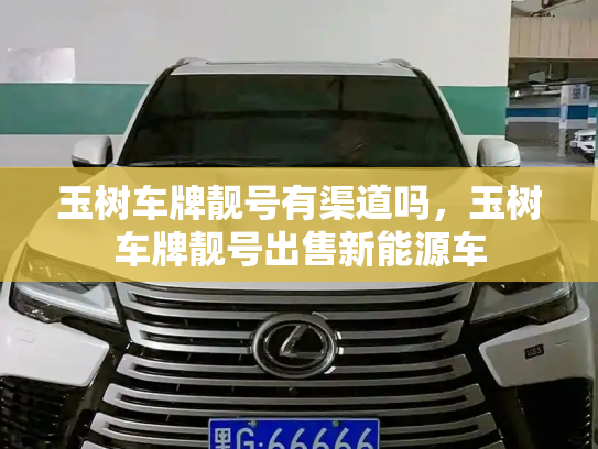 玉树车牌靓号有渠道吗，玉树车牌靓号出售新能源车-第2张图片-七号汽车选号