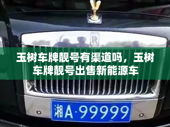 玉树车牌靓号有渠道吗，玉树车牌靓号出售新能源车-第3张图片-七号汽车选号