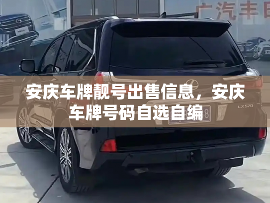 安庆车牌靓号出售信息，安庆车牌号码自选自编