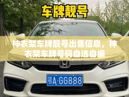 神衣架车牌靓号出售信息,神衣架车牌号码自选自编-第3张图片-七号汽车选号 神衣架车牌靓号出售信息,神衣架车牌号码自选自编-第3张图片-七号汽车选号
