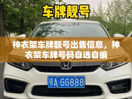 神衣架车牌靓号出售信息，神衣架车牌号码自选自编