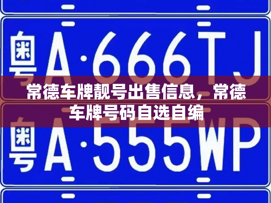常德车牌靓号出售信息,常德车牌号码自选自编-第3张图片-七号汽车选号 常德车牌靓号出售信息,常德车牌号码自选自编-第3张图片-七号汽车选号