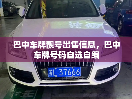 巴中车牌靓号出售信息,巴中车牌号码自选自编-第2张图片-七号汽车选号 巴中车牌靓号出售信息,巴中车牌号码自选自编-第2张图片-七号汽车选号