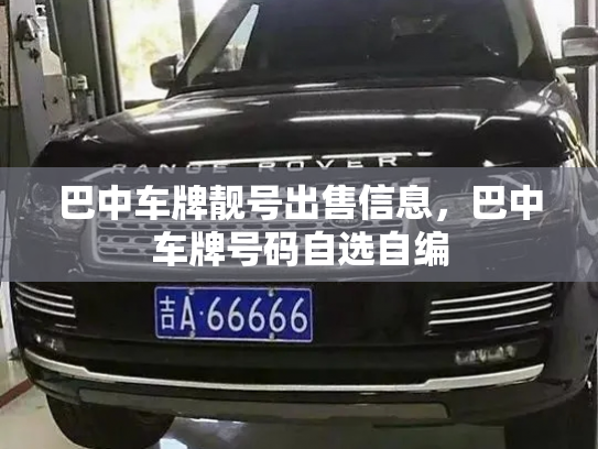 巴中车牌靓号出售信息，巴中车牌号码自选自编