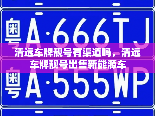 清远车牌靓号有渠道吗，清远车牌靓号出售新能源车-第2张图片-七号汽车选号